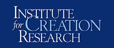институт креационных исследований